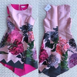 ted baker joyclyn dress